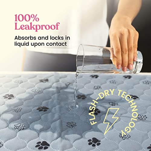 All-Day Protection Pad for Your Floors, Couches, & Dog Beds