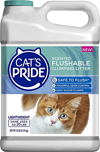 + Flushable Cat Litter With Powerful Odor Control | 50% More Absorbent!