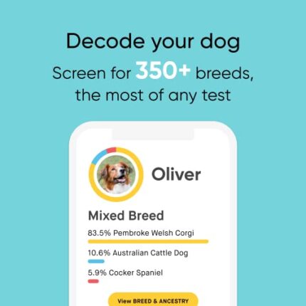 Unlock Your Dog's Health with Embark's Premium Dog DNA Test