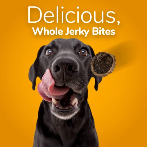 100% Natural Dog Treats: Apple & Bison Jerky, Gluten-Free