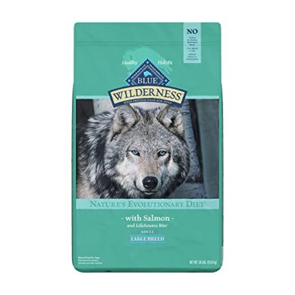 Buffalo Wilderness High Protein Salmon Dog Food | Natural & Healthy