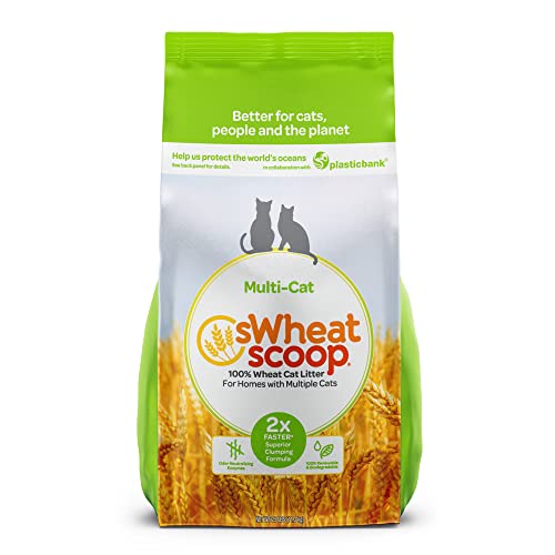 All Natural & Super Absorbent Multi-Cat Litter to Eliminate Smells