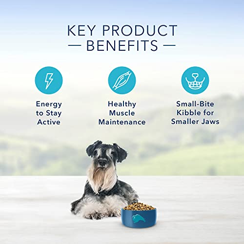 Blue Buffalo Adult Dog Food - Natural Protection Formula