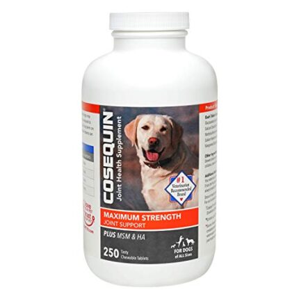 Give Your Dog Joint Support with Cosequin - Nutramax Laboratories