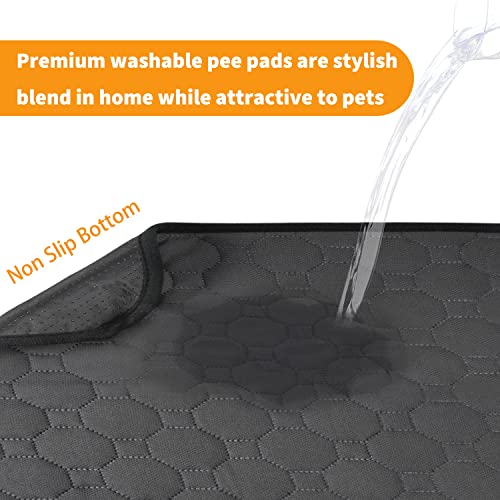 High Quality Reusable Pet Pee Pads | Training Pads for Dogs