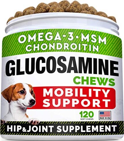 Natural Hip & Joint Supplement for Dogs to Improve Mobility & Energy