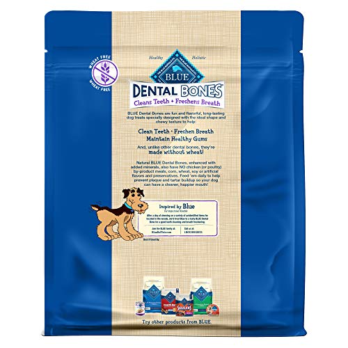 BLUE Dental Bones Dog Treats - Wholesome, Natural, Large Size