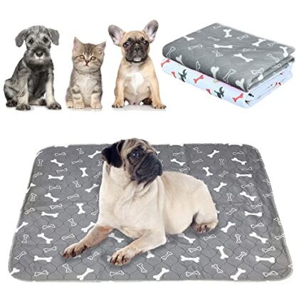 Best Quality Dog Training Mats for Housebreaking, Travel & More