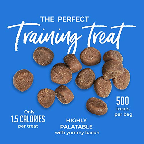 Buy Natural Bacon Dog Treats - Chewy Bites for Puppies - USA Baked