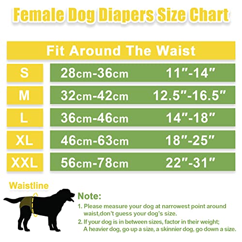 Female Dog Diapers: Washable Dog Diapers for Tiny Dogs & Puppies, 11" to 14" Waist Size