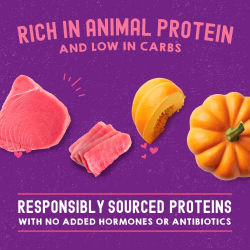 High-Protein Meals Your Cat Will Love | Carnivore Cravings