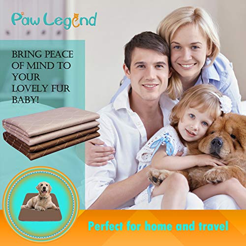 Paw Legend Training Pads - Super Absorbent & Odor Control - Pack of 2