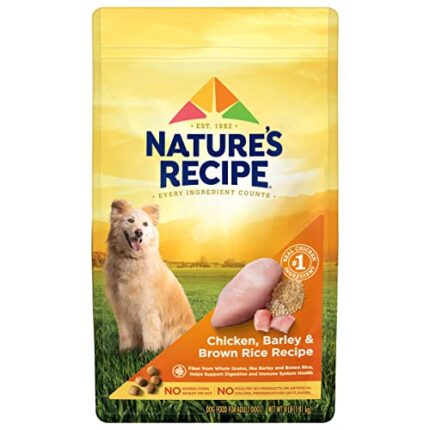 Nature's Recipe Adult Dog Food - Chicken Meal Formula |