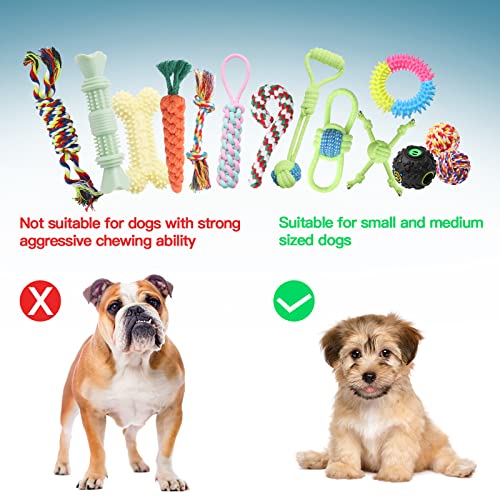 20 Piece Puppy Teething Chew Toys For Small Dog & Furniture Protection