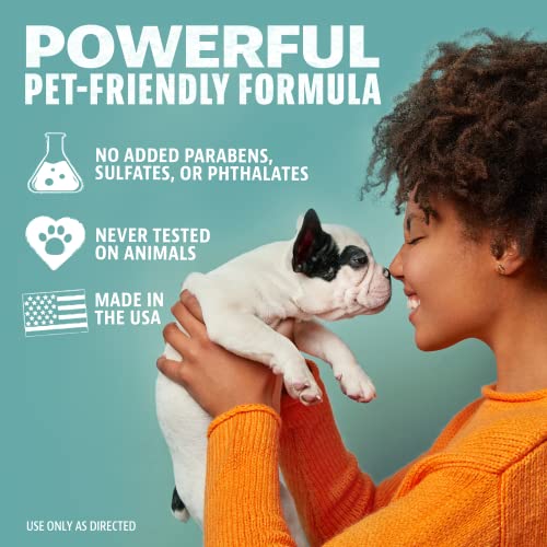 Get Rid of Pet Odors Quickly with Angry Orange Pet Odor Eliminator