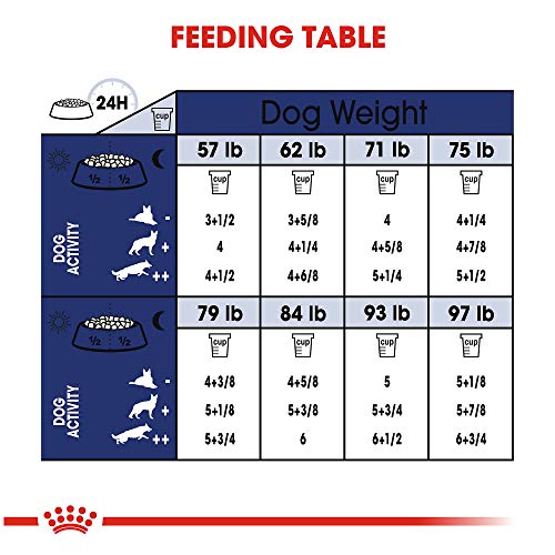 Royal Canin Pet Health & Nutrition Dog Food | Shop Now