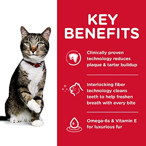 Improve Cat Dental Health with Clinically Proven Kibble Technology