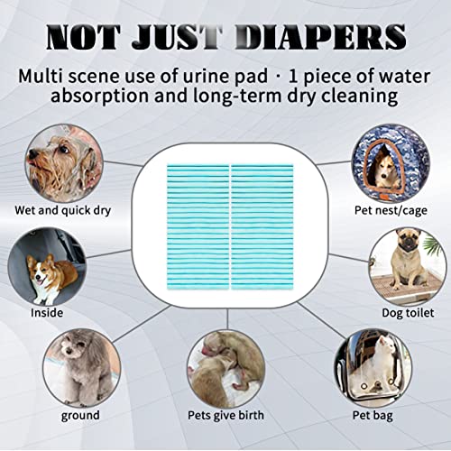 PETSCLUB Dog Training Pads - Super Absorbent & High Quality Material