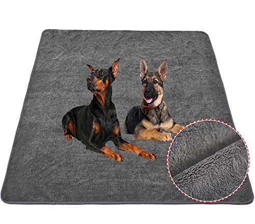 Reusable and Absorbent Pet Pads | Keep Your Pet Dry and Comfortable