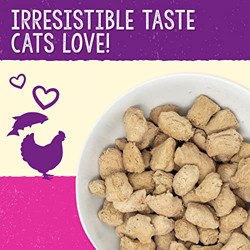 Irresistible Taste Cats Love: Natural Protein-Rich Dinner Morsels