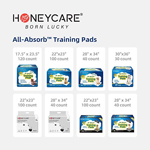 HONEY CARE & All-Absorb Pet Pads - Urine & Odor Protection for Puppies & Dogs