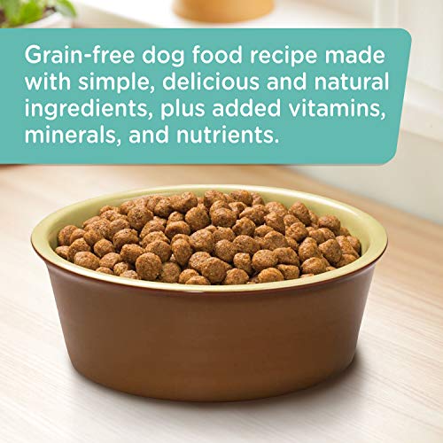 Natural Salmon Dog Food by Rachael Ray Nutrish - Shop Now!