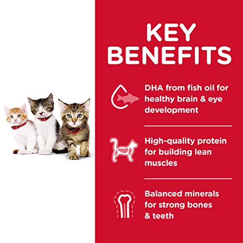 Dry Food with DHA for Kitten Brain & Eye Development | Hill's Science Diet