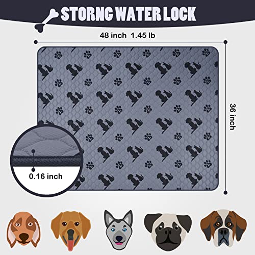 Reusable High-Quality Dog Pee Pads | 4 Layers of Materials