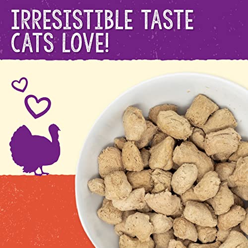 Irresistible Tastes Cats Love: 98% Poultry, Organs & Bone