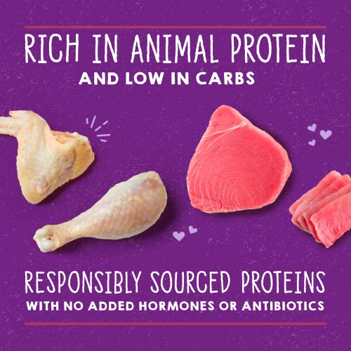 100% Natural Cat Food with Bone Broth | Carnivore Cravings Minced Morsels