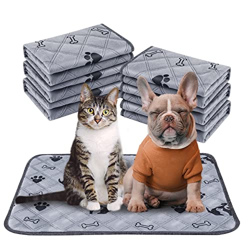 6 Pack Dog Puppy Training Pads | Washable & Reusable | 4 Layer Premium Quality