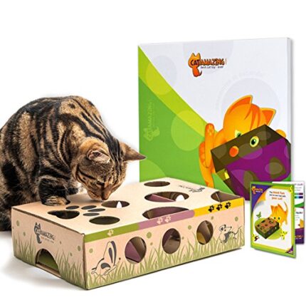 Stimulate & Occupy Your Cat with Cat Amazing's Puzzle Box