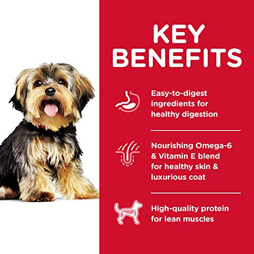 Hill's Science Diet Dog Food | Hill's Pet Nutrition