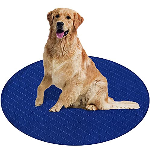 Reusable Pee Pads for Dogs | Super Absorbent & Washable | Coldwind Bedding