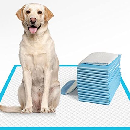 Super-Absorbent & Quick-Drying Dog Pee Pads - Leak-Proof Protection