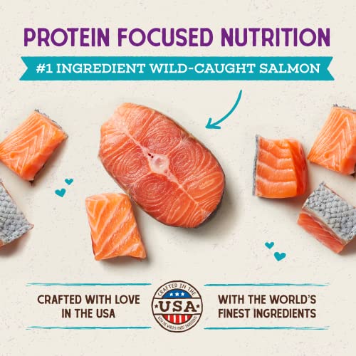 Irresistible Protein-Packed Kibble for Cats | Wild-Caught Salmon #1 Ingredient