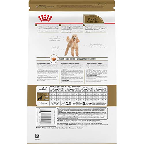 Buy Royal Canin Dog Food for Health & Nutrition - 10 lb Bag