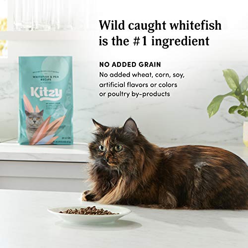 Kitzy Dry Cat Food - Wild Caught Whitefish, Grain-Free, and Nutritious Protein Recipe