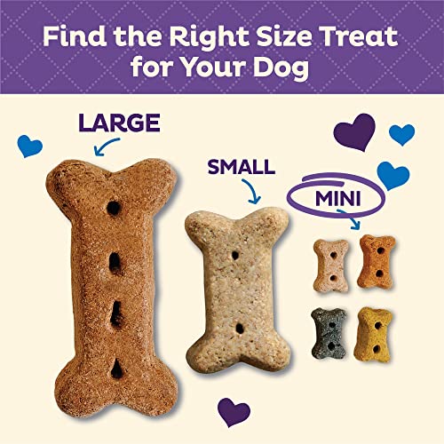 Mini Crunchy Dog Treats with Natural Ingredients | North America