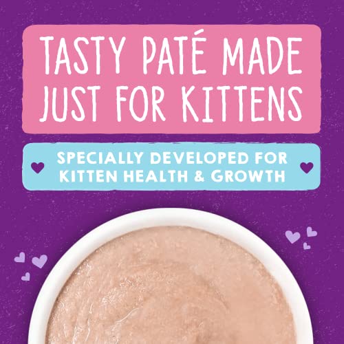 Delicious Nutrient-Rich Pâtés for Kittens | Stella & Chewy's