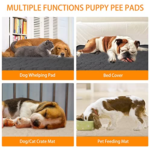 High Quality Reusable Pet Pee Pads | Training Pads for Dogs