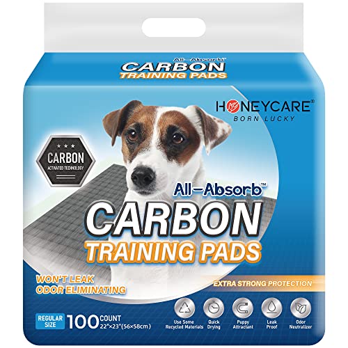 HONEY CARE & All-Absorb Pet Pads - Urine & Odor Protection for Puppies & Dogs