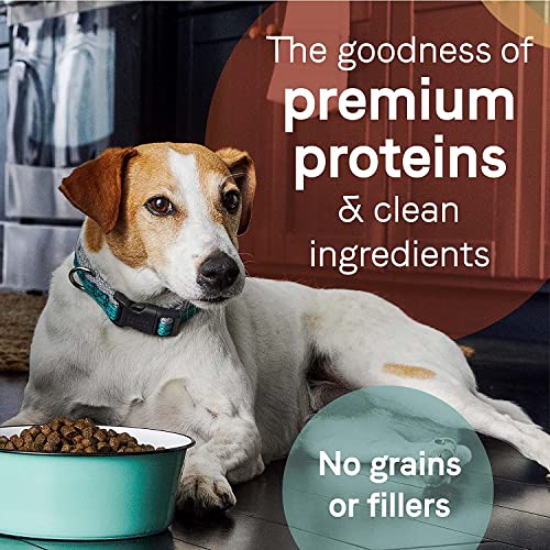 Buy Canidae Grain Free Dog Food with Salmon Formula