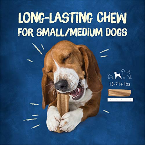 Purina Busy Bone Dog Chews - Long Lasting Dog Treats for Small/Medium Dogs