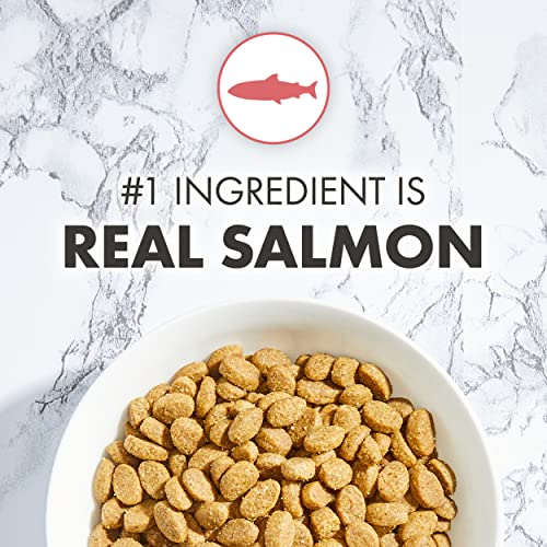 NUTRO WHOLESOME ESSENTIALS Adult Salmon & Brown Rice Recipe Natural Cat Food