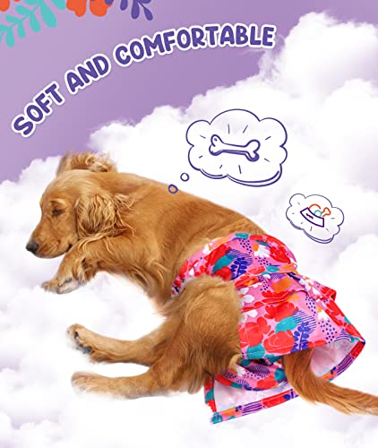 Buy Premium Female Dog Diapers in S, M, L & XL - Comfort & Quality