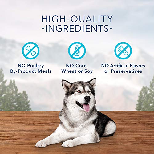 BLUE Wilderness Wild Bits | High Protein Grain-Free Dog Treats