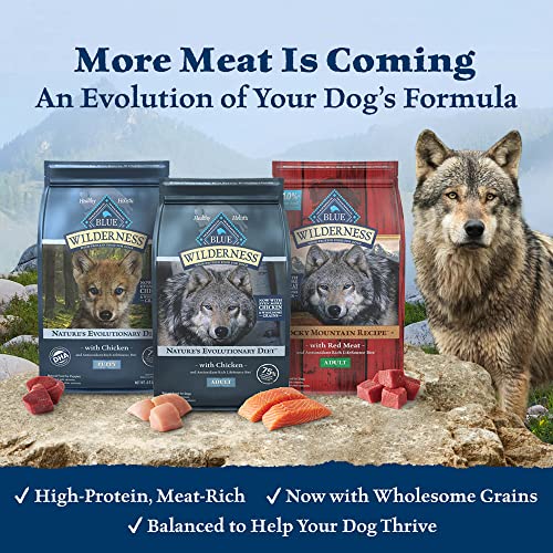 High Protein Natural Chicken Dog Food | Buffalo Wilderness