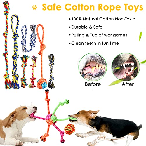 20 Packs Amazing Dog Toys for Chewing & Interactive Playtime | Dog Chew Toys