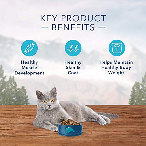 BLUE Wilderness High Protein Cat Food Made with Natural Chicken